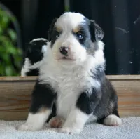 processed/4c497512-d754-4094-87fd-64c2d595a44b/listing/1fbe51cb-754a-40c2-ab4b-16a0b4290ff3/fb171a8a-8e0c-4fdb-aa43-334f1722ef86