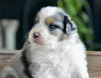 processed/4c497512-d754-4094-87fd-64c2d595a44b/listing/5352752f-24d9-4e21-8c05-3438cc96ad75/9e33b642-f474-4457-a3f8-4fb6b47e6b6b