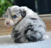 processed/4c497512-d754-4094-87fd-64c2d595a44b/listing/6f8500b6-2fc1-4b85-973f-16baac16f939/85df0bde-c120-4c8f-b5e8-581243970f68