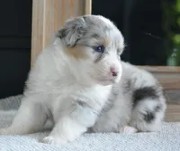 processed/4c497512-d754-4094-87fd-64c2d595a44b/listing/6f8500b6-2fc1-4b85-973f-16baac16f939/9b27ae1a-cc22-409f-b59e-3e960e66a7d2