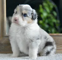 processed/4c497512-d754-4094-87fd-64c2d595a44b/listing/6f8500b6-2fc1-4b85-973f-16baac16f939/9b709138-fbc0-49ef-afbc-516b9f5492ab