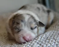 processed/4c497512-d754-4094-87fd-64c2d595a44b/listing/6f8500b6-2fc1-4b85-973f-16baac16f939/aa9fff39-e4da-4d33-bbe3-1c10b51b10c0