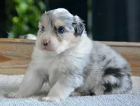 processed/4c497512-d754-4094-87fd-64c2d595a44b/listing/6f8500b6-2fc1-4b85-973f-16baac16f939/e1b1dd33-2316-4cfa-bb22-960b7434c546