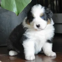 processed/4c497512-d754-4094-87fd-64c2d595a44b/listing/dc5a9247-f2d4-4608-8e66-7d361515b1cc/71a4d7bf-8eac-402d-a96e-b98cfc7591b7