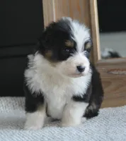 processed/4c497512-d754-4094-87fd-64c2d595a44b/listing/def0741d-a0ee-4c0a-afc9-932d19bd34dd/1fb63cd5-6673-4f8c-9ee4-23ed32d3c6be