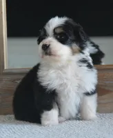 processed/4c497512-d754-4094-87fd-64c2d595a44b/listing/def0741d-a0ee-4c0a-afc9-932d19bd34dd/216c85cc-e022-40ee-8bb6-dac673984922