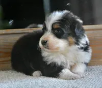 processed/4c497512-d754-4094-87fd-64c2d595a44b/listing/def0741d-a0ee-4c0a-afc9-932d19bd34dd/43794826-d034-4d46-b365-b5f2f888c09f