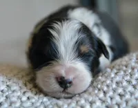 processed/4c497512-d754-4094-87fd-64c2d595a44b/listing/def0741d-a0ee-4c0a-afc9-932d19bd34dd/58461d7a-e449-49b8-aa13-1b5ebbba980a