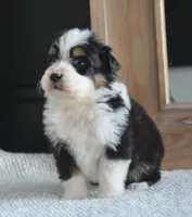 processed/4c497512-d754-4094-87fd-64c2d595a44b/listing/def0741d-a0ee-4c0a-afc9-932d19bd34dd/b5428986-74cc-45e5-864a-b88b5e952120