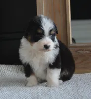 processed/4c497512-d754-4094-87fd-64c2d595a44b/listing/def0741d-a0ee-4c0a-afc9-932d19bd34dd/c1cbaca4-9176-4b68-867f-44fb1100d2ee