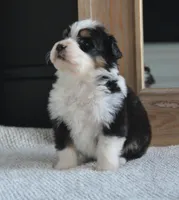 processed/4c497512-d754-4094-87fd-64c2d595a44b/listing/def0741d-a0ee-4c0a-afc9-932d19bd34dd/df6551b1-a1a3-4634-a695-1011d2c93ef3