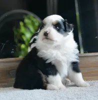 processed/4c497512-d754-4094-87fd-64c2d595a44b/listing/eb2877cc-3fec-46e0-bcea-94fbb15ac460/073edbb8-23c7-4ee8-8128-d600072b0819