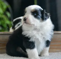 processed/4c497512-d754-4094-87fd-64c2d595a44b/listing/eb2877cc-3fec-46e0-bcea-94fbb15ac460/1f1dc05b-c755-4398-8792-48fe1bf5f1e8