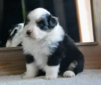 processed/4c497512-d754-4094-87fd-64c2d595a44b/listing/eb2877cc-3fec-46e0-bcea-94fbb15ac460/549e62d5-06f2-47bf-b6fd-12934726fa24