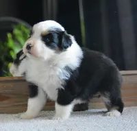 processed/4c497512-d754-4094-87fd-64c2d595a44b/listing/eb2877cc-3fec-46e0-bcea-94fbb15ac460/8f54c844-0d0e-477e-908f-5f3f236d8d87