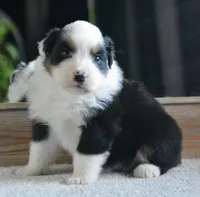 processed/4c497512-d754-4094-87fd-64c2d595a44b/listing/eb2877cc-3fec-46e0-bcea-94fbb15ac460/d6c81f95-17e2-4f11-ab9e-eace10544baa