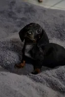 processed/4c49f000-127f-4378-abc3-27c27aa89d75/listing/4f6d37d6-2a58-4ba5-85c4-b70bd96e0bef/2d4589ff-4859-4509-b12b-3de764a5d734