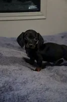 processed/4c49f000-127f-4378-abc3-27c27aa89d75/listing/4f6d37d6-2a58-4ba5-85c4-b70bd96e0bef/f8b012e3-6c32-498e-9dd6-a88ef7b1e866