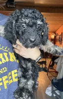 processed/4c4df8d2-b132-4465-969b-e32f3e87cd6d/listing/3feddf50-3840-4e62-8afc-4e6f43d1d107/90497f29-2dcb-4299-a2b9-3d59c9bb6bc8