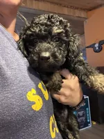 processed/4c4df8d2-b132-4465-969b-e32f3e87cd6d/listing/3feddf50-3840-4e62-8afc-4e6f43d1d107/9ac00ba2-5ca1-4d4d-816c-afcea63a1999