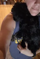 processed/4c4df8d2-b132-4465-969b-e32f3e87cd6d/listing/3feddf50-3840-4e62-8afc-4e6f43d1d107/9b218b2f-6814-46db-b523-b4a26e7273a5