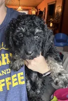 processed/4c4df8d2-b132-4465-969b-e32f3e87cd6d/listing/3feddf50-3840-4e62-8afc-4e6f43d1d107/c94d12d8-f44e-4d57-bf56-d6d3547ad349