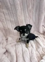 processed/4c55b936-88c4-4c68-88b2-f4a69438ca91/listing/0a3fd92c-7a5a-4e9e-a5cc-136e0bff7cd3/328bf9b1-c6e4-45d8-90a8-82047dceb399