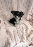 processed/4c55b936-88c4-4c68-88b2-f4a69438ca91/listing/0a3fd92c-7a5a-4e9e-a5cc-136e0bff7cd3/7858c4cd-cd6c-4320-815c-72b515297613