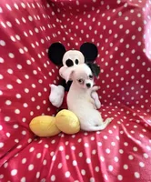 Little Prince, a male Chihuahua for sale in Spartanburg, SC – 4 of 6