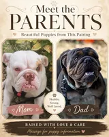 Rocco 2, a male English Bulldog for sale in Pueblo, CO – 5 of 5
