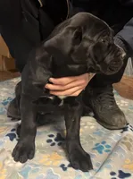 processed/4c599d53-5394-4475-8007-d0d6368242ac/listing/649ae650-2715-41f4-9ac2-2d238cb273b2/076a4396-ef0e-44f5-807f-f07ca418b08b