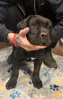 processed/4c599d53-5394-4475-8007-d0d6368242ac/listing/649ae650-2715-41f4-9ac2-2d238cb273b2/9d901faf-9bc1-4c98-b782-f893af71ef84