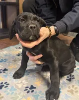 processed/4c599d53-5394-4475-8007-d0d6368242ac/listing/649ae650-2715-41f4-9ac2-2d238cb273b2/a7569dbe-b601-4378-9e24-add023160dbc