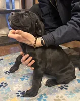 processed/4c599d53-5394-4475-8007-d0d6368242ac/listing/649ae650-2715-41f4-9ac2-2d238cb273b2/ae342810-7117-490f-81d0-e691377fc254