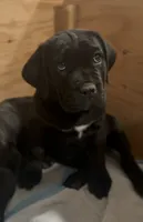 processed/4c599d53-5394-4475-8007-d0d6368242ac/listing/649ae650-2715-41f4-9ac2-2d238cb273b2/b9f93bfd-ebde-4660-95ac-bb12bfb75d30