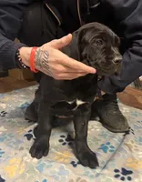 processed/4c599d53-5394-4475-8007-d0d6368242ac/listing/649ae650-2715-41f4-9ac2-2d238cb273b2/c544a432-fff5-4970-baf7-776136d5178c