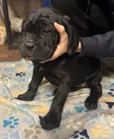 processed/4c599d53-5394-4475-8007-d0d6368242ac/listing/d8c751b7-e6d7-4087-9763-e481daf14d1e/14d97752-4872-4f91-b2df-d982bad01fad