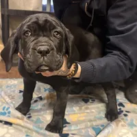 processed/4c599d53-5394-4475-8007-d0d6368242ac/listing/d8c751b7-e6d7-4087-9763-e481daf14d1e/179106c7-9011-46e2-bf54-1867396a6d82