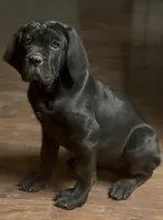 processed/4c599d53-5394-4475-8007-d0d6368242ac/listing/d8c751b7-e6d7-4087-9763-e481daf14d1e/43c75b31-cc06-4a9d-9309-8dd1ee9bb43c