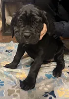 processed/4c599d53-5394-4475-8007-d0d6368242ac/listing/d8c751b7-e6d7-4087-9763-e481daf14d1e/5ee8943d-e672-4b6b-bf97-313ad3eb998c