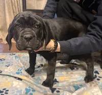 processed/4c599d53-5394-4475-8007-d0d6368242ac/listing/d8c751b7-e6d7-4087-9763-e481daf14d1e/9af3470e-778c-4853-ad2d-f1916ef60bd3