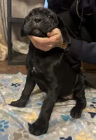 processed/4c599d53-5394-4475-8007-d0d6368242ac/listing/d8c751b7-e6d7-4087-9763-e481daf14d1e/d3a42ddf-c7b7-429b-8b6a-80d172701989