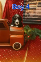 processed/4c5d70fe-869c-4260-a65e-c302297eea33/listing/68987489-717d-42e7-b52a-e6b6f1ada0ce/2ce79496-5414-4515-8b61-29e6880f0b44