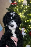 processed/4c5d70fe-869c-4260-a65e-c302297eea33/listing/68987489-717d-42e7-b52a-e6b6f1ada0ce/9fbf25ce-d25b-4d01-8196-db27e9c020f6