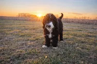 processed/4c5d70fe-869c-4260-a65e-c302297eea33/listing/68987489-717d-42e7-b52a-e6b6f1ada0ce/d751ed0e-63df-42b7-9d78-aa50cce5e2a0