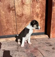 processed/4c68deb2-bd12-4ddb-969a-5036c0747cd4/listing/8a3c7be2-7692-412a-82e0-2de7a4268ea0/2dfb7d9d-595a-4c58-9093-dcff07de7061