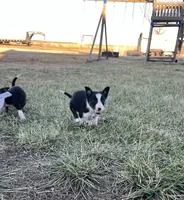 processed/4c68deb2-bd12-4ddb-969a-5036c0747cd4/listing/8a3c7be2-7692-412a-82e0-2de7a4268ea0/649409fc-e632-49ca-9a41-ec134f6ecd82