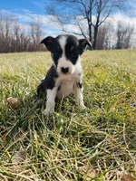 processed/4c68deb2-bd12-4ddb-969a-5036c0747cd4/listing/8a3c7be2-7692-412a-82e0-2de7a4268ea0/6cb12d09-3dc9-442d-8a52-e9e006295855