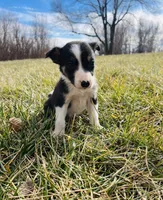 processed/4c68deb2-bd12-4ddb-969a-5036c0747cd4/listing/8a3c7be2-7692-412a-82e0-2de7a4268ea0/8a2d73f9-0b62-45b7-8bdc-bd368b0786e6