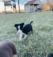 processed/4c68deb2-bd12-4ddb-969a-5036c0747cd4/listing/8a3c7be2-7692-412a-82e0-2de7a4268ea0/c2c198d2-566e-49b5-ac67-bc142420e8cb